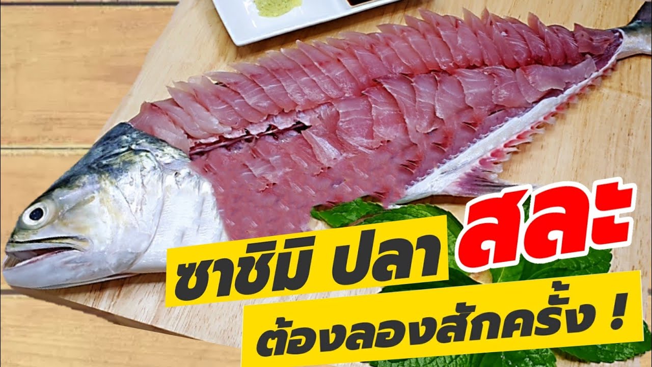 วิธีการแล่ปลาสละ เพื่อทำซาชิมิ ดูจบก็ทำกินเองได้ง่ายๆ
