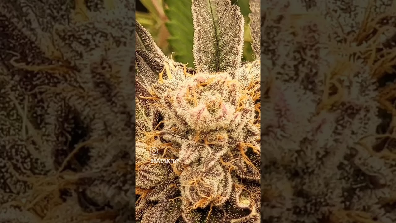 ILL NEVER FORGET 2022 BUT 2023 ALL OURS