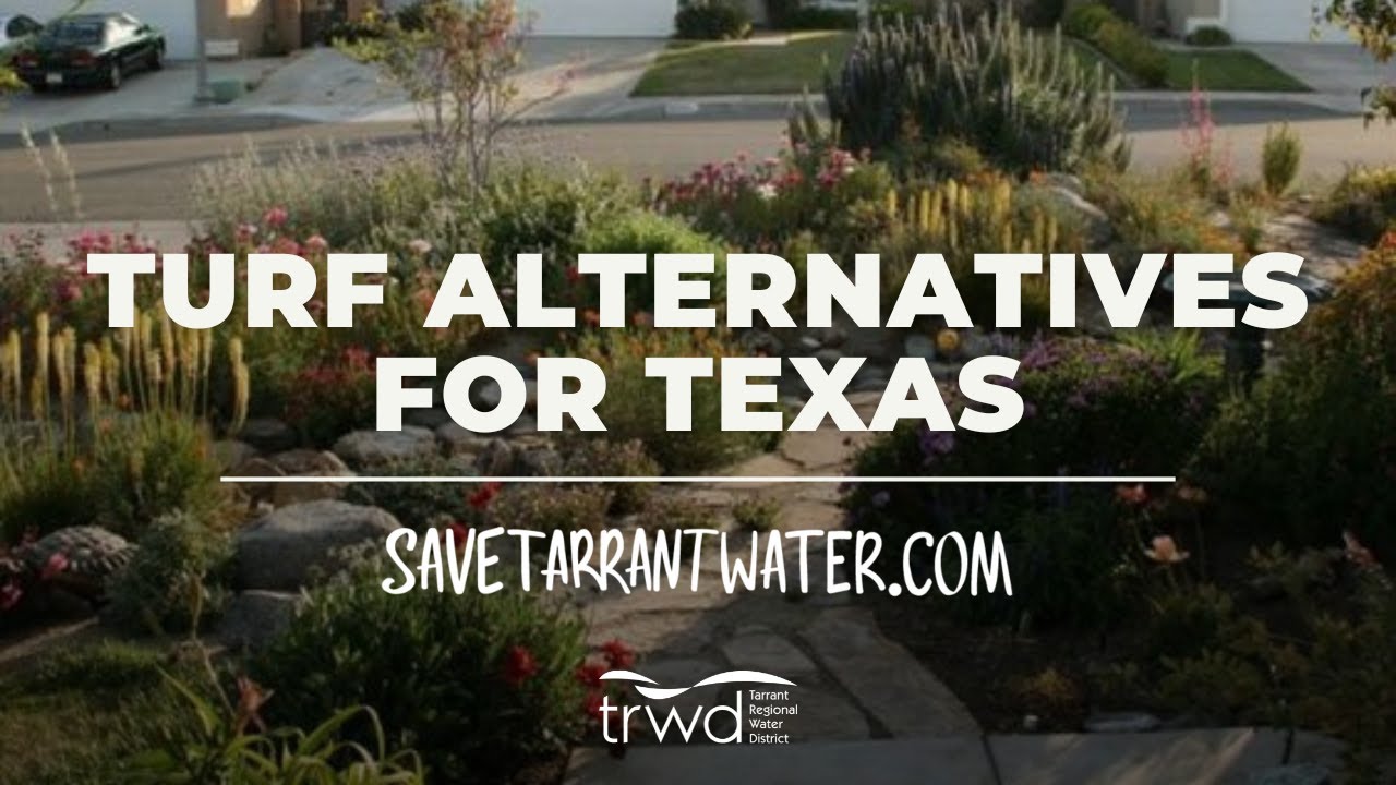 Turf Alternatives for Texas
