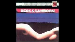 Video thumbnail of "Joe Beck -  David Sanborn  -  Cactus  -  ( Joe Beck & David Sanborn  1975 )"
