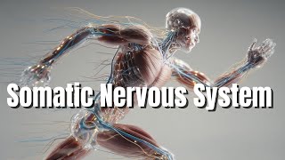 Celebrity Somatic Nervous System Regeneration & Functional Restoration(Morphic Field)  | Organ Series Net Worth