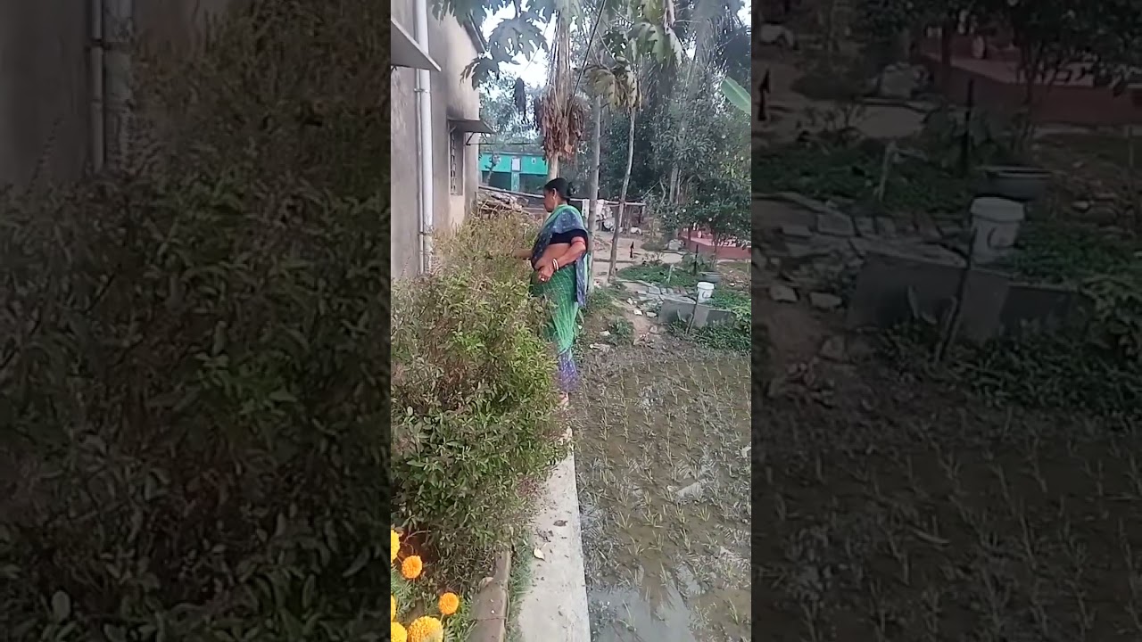 Amr onek diner ichha ba swapno jai hok ekta chilo  bormasai eto taratari puron korbe vabtei parini😘🙃