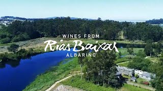 Get To Know D.o. Rías Baixas Virtual Tour Of Granbazán Winery