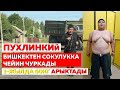 ОРОЗБЕК дагы 60кг арыктады - Келдибек Атайбеков