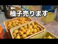 柚子売ります　＃柚子　＃農薬不使用　＃柚子農家