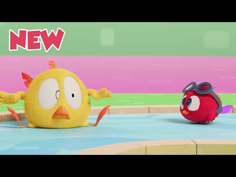 Где Чики? 🐥Чик! | Чики развлекается дома 🤩 Лучшие серии на русском языке