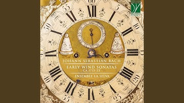 Sonata in C Major, BWV 1032: I. Vivace (For Recorder, Violin and B.c. - Completed by Grete Zahn)