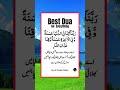 Best Dua for Everything 🤲❤️ #dua #islamicdua #wazifa