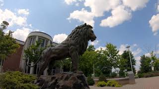 Campus Beauty  Reel