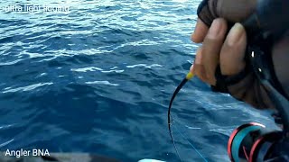 Ultra light jigging || Kastking Sharky iii 1000 vs Giant Trevally