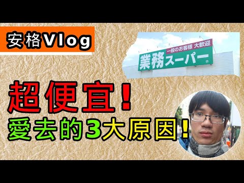 【Onga Vlog】日本超市超便宜！在日生活必去！｜我愛到業務超市的3大原因？｜【安格的日本省錢攻略】｜安格 Onga