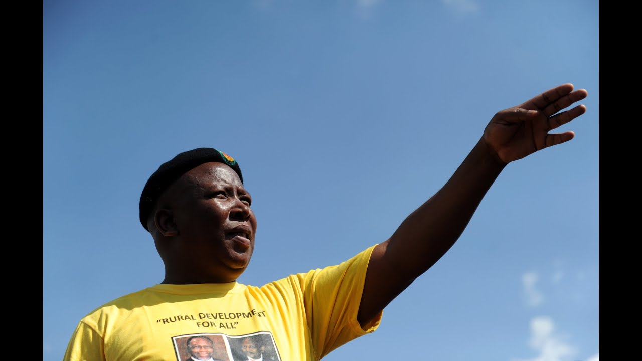 Malema inspired by Chavez