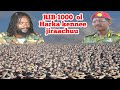 Waraana Ulfataa 1000 Ol Jaal Marroo General Birhanu Jula Moha Oromo