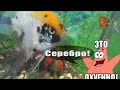 Сходил на пляж, собрал немного серебра 925!