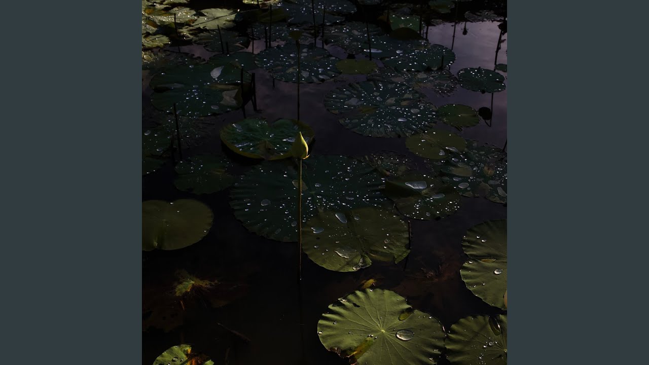 Alias adlı videoyu YouTube'da izle Alias adlı videoyu YouTube'da izle