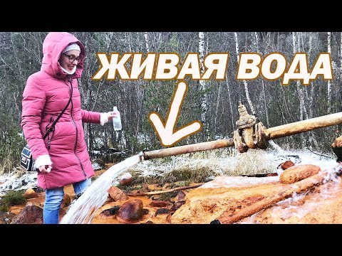 ПОЛЯНА НАРЗАНОВ ПРИЭЛЬБРУСЬЕ