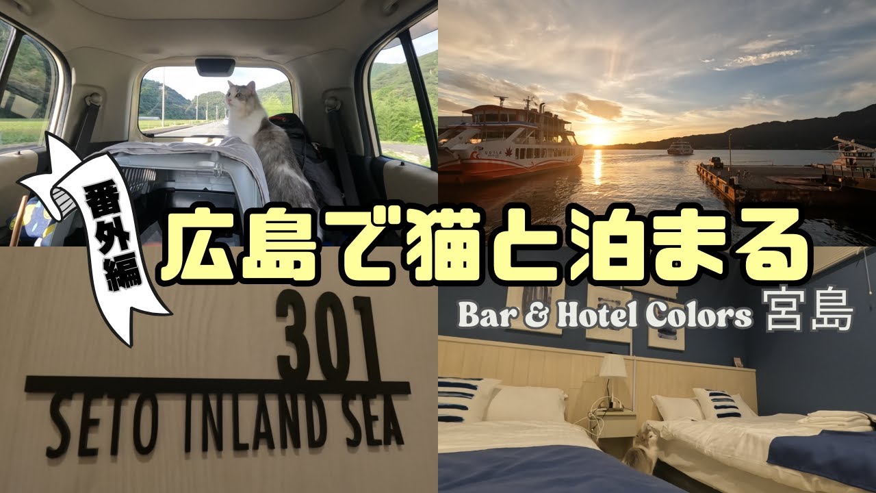 【広島】猫と一緒に泊まれるホテルBar & Hotel Colors 宮島 に泊まったら目的地間違えてました【番外編】