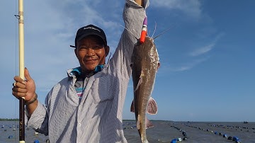 Câu cá, lên Cá Vồ biển lớn nhất từ trước đến nay | Sông Nước Cần Giờ - Châu Huỳnh.