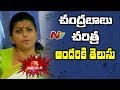 YCP MLA Roja Fires On CM Chandrababu Naidu : Power Punch