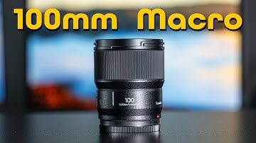 Impossibly Small Macro: Lumix 100mm F2.8 L Mount  Macro Lens Review