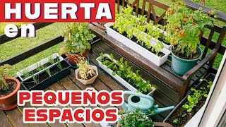 Cómo producir mucho alimento en poco espacio.