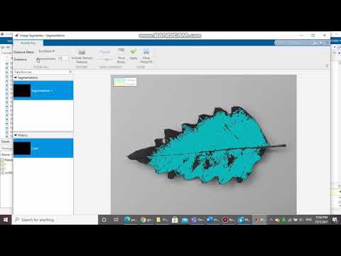 Analysis of leaf identification performance by using a machine learning approach