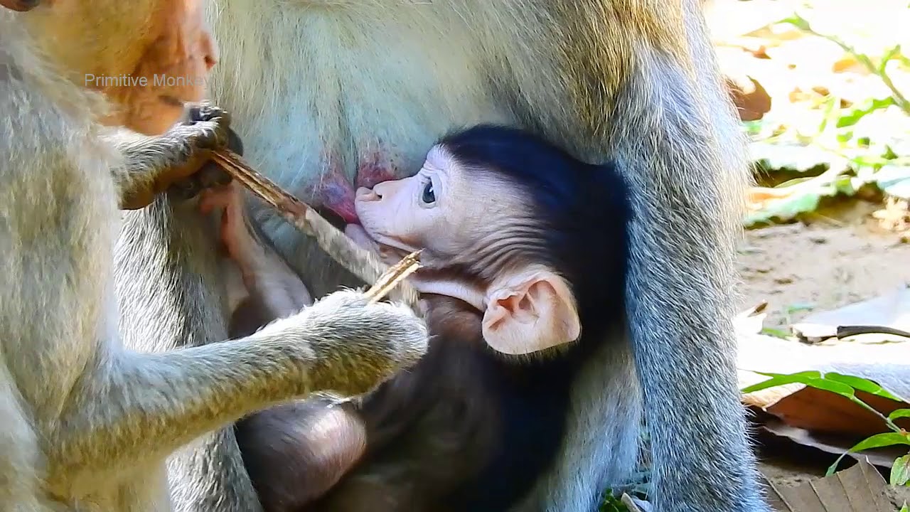 Poor Janna So Angry Janet Bite Her Hand! Why Janet Doing Like this On Baby Janna!