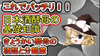 【日本酒の主役‼️】きょうかい酵母の種類と分離蔵