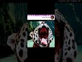 اغنية لما صغرنا لحد ما كبرنا اغنيه جديده لو حلوه اعمل لايك ومتابعه mp3