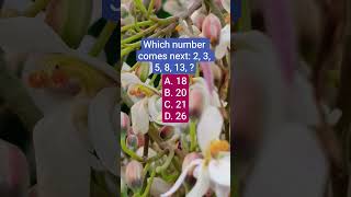 Which Number Comes Next 2 3 5 8 13 