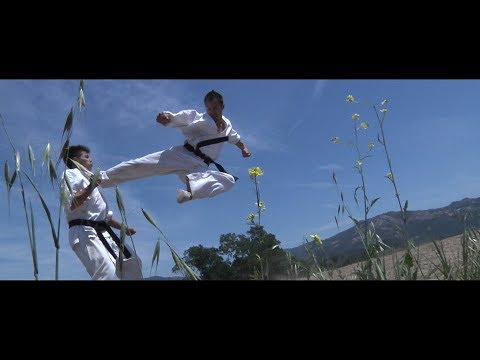 Video: Oor Style En Skole Karate