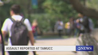 Assault reported at TAMU-CC