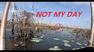 NOT MY DAY Snakehead fishing TOMAN