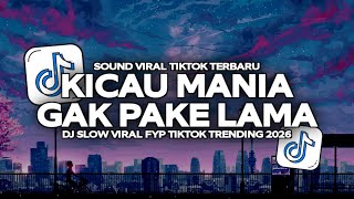 Download lagu DJ KICAU MANIA X GAK PAKE LAMA SLOW VIRAL TIKTOK TERBARU 2026