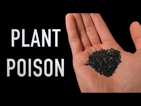 Video: Z jaké rostliny je kyselina chaulmoogrová izolována?