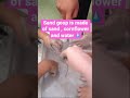 DIY Sand Goop: The Most Addictive Sensory Play Ever