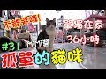 『孤單的貓咪』不能哭哦!MiMi醬單獨在家36小時 Cat Story#31