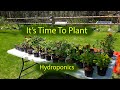 Hydroponics Garden Preparation -It&#39;s Grow Season and Time To Plant  - May 2020