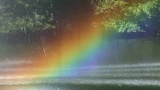 Relaxing Rain: A Serene Shower of Solitude