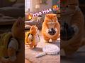 🔥cat plane B, funny the story cat and tiger .#cat #tiger #videos #virals  #reels #realscript44.0