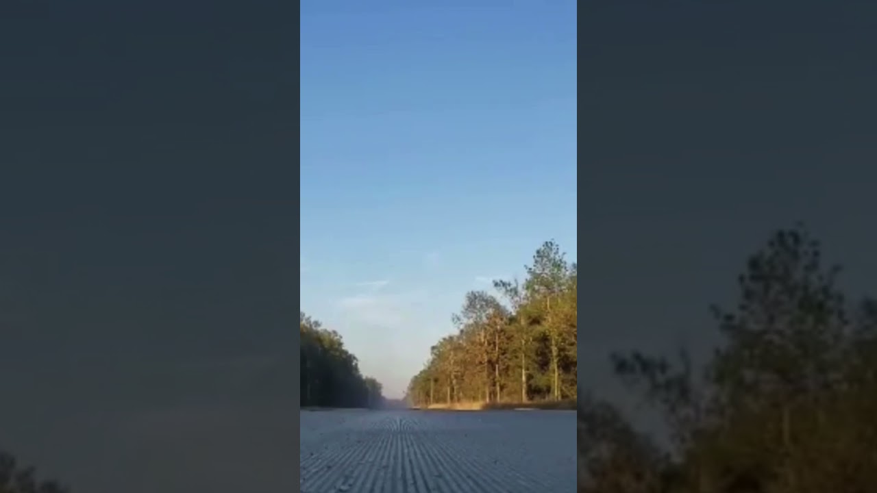 Camaro zl1 launch 🚀 