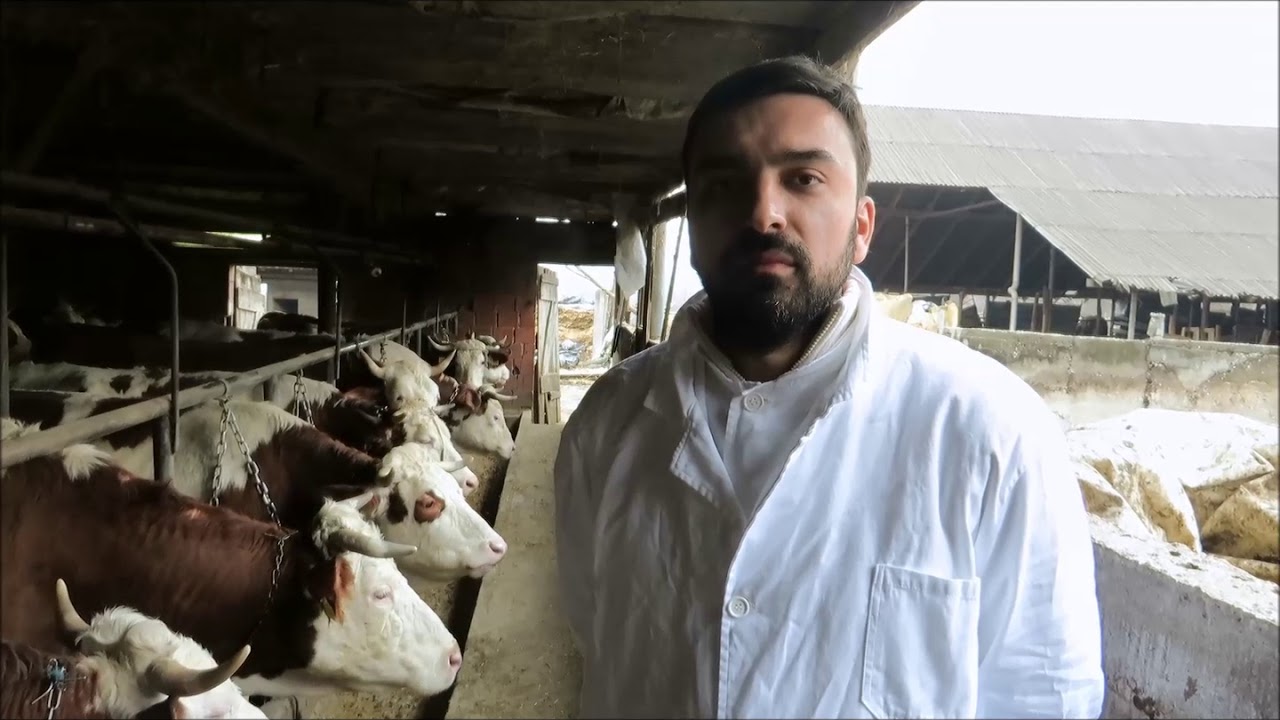 Suzbijanje šuge na farmi