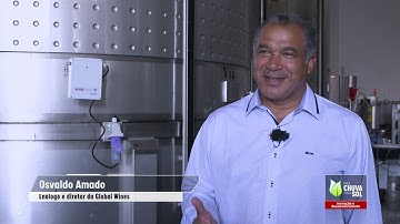 WINEGRID  in the program "Faça Chuva Faça Sol"