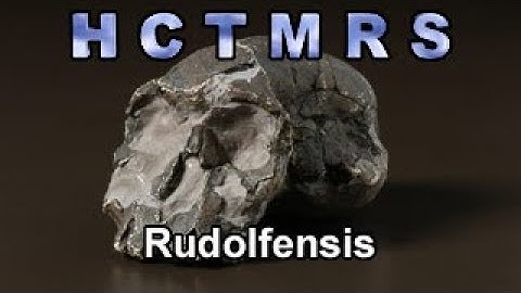 How Creationism Taught Me Real Science 83 Rudolfensis