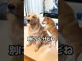 間違えてるけど続けて😌|PECO
