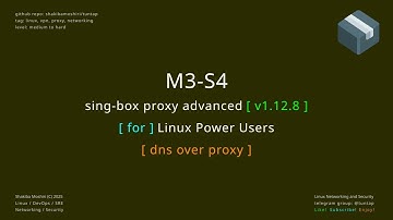 singbox proxy advanced M3 S4 dns over proxy