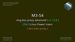singbox proxy advanced M3 S4 dns over proxy