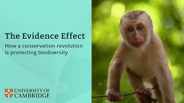 The Evidence Effect: How a conservation revolution is protecting biodiversity