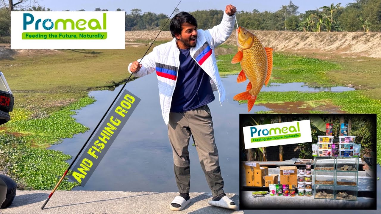 Promeal.in and Fishing Rod se badi macchli🎣