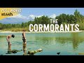 The Cormorants | Coming of Age Drama | Full Movie | Summer in Turin